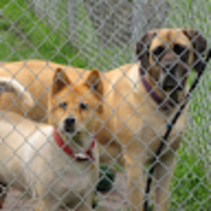 Meet your Posher, Jeff